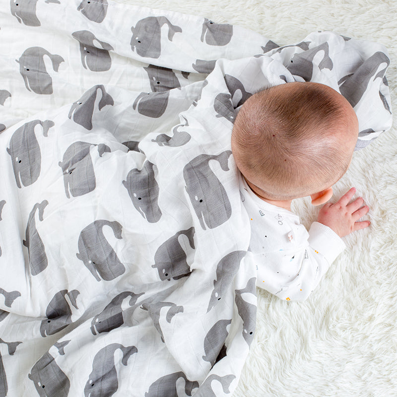Animal Printed Swaddles for Infants